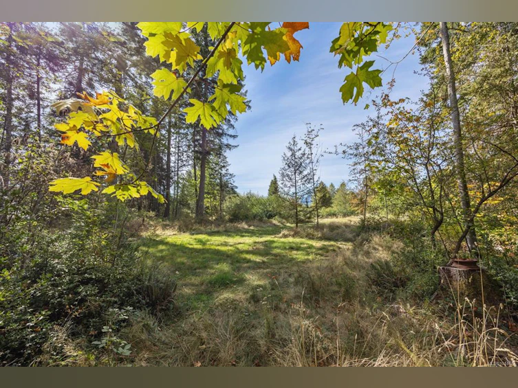 Lot B Cathy Crescent, Courtenay, BC, V9N 7G2 - 7