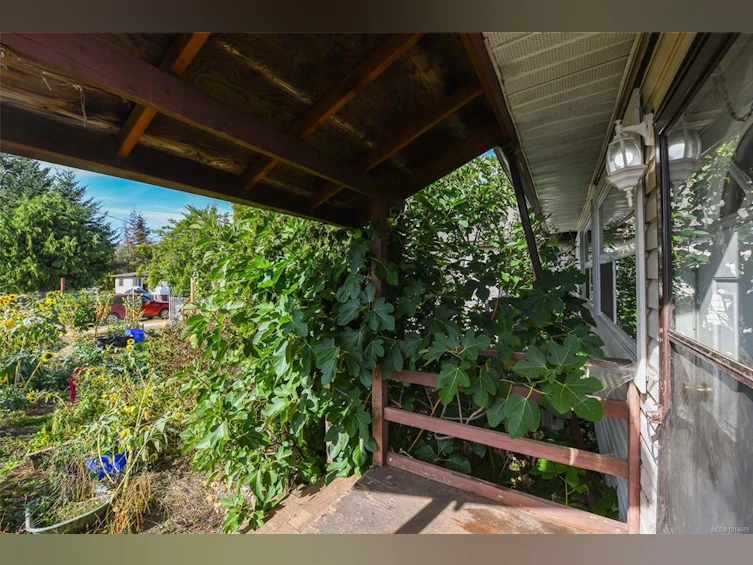3390 Nikkei Place, Cumberland, BC, V0R 1S0 - 17