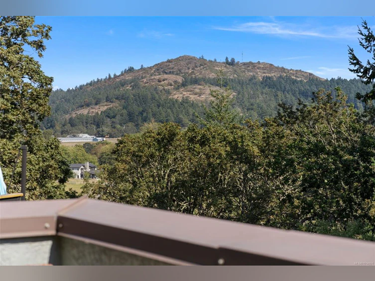 899 Currandale Court, Saanich, BC, V8X 4Y2 - 19