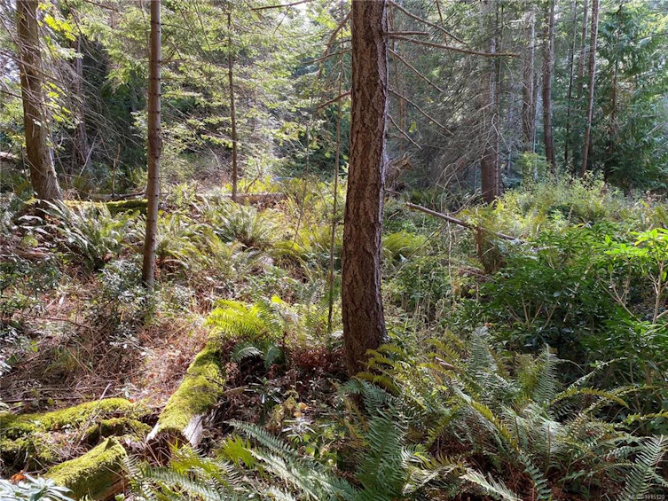 LT 39 Jackpine Street, Gabriola Island, BC, V0R 1X1 - 2
