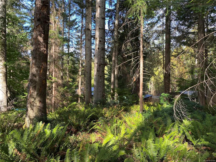 LT 39 Jackpine Street, Gabriola Island, BC, V0R 1X1 - 3