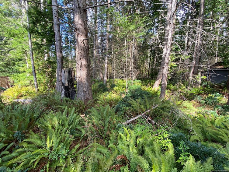 LT 39 Jackpine Street, Gabriola Island, BC, V0R 1X1 - 9