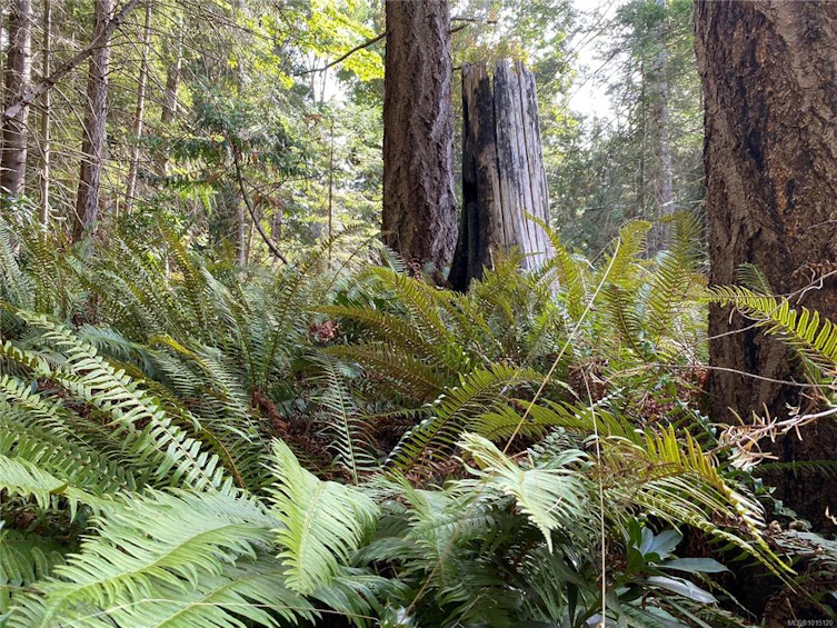 LT 39 Jackpine Street, Gabriola Island, BC, V0R 1X1 - 16
