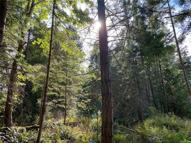 LT 39 Jackpine Street, Gabriola Island, BC, V0R 1X1 - 11