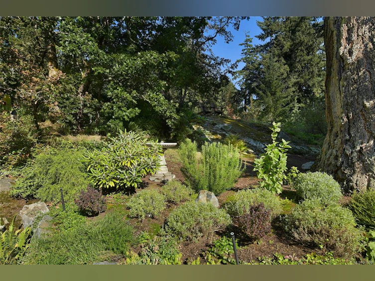 4467 Autumnwood Lane, Saanich, BC, V8X 4V8 - 67