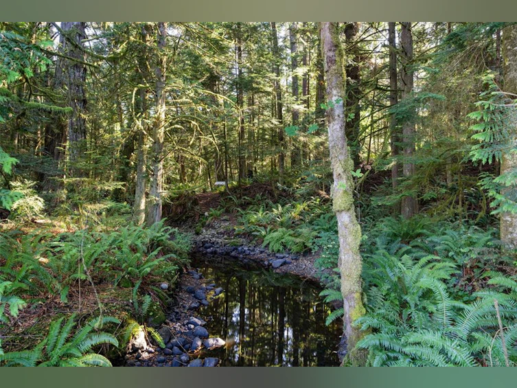 2295 King Road, Sooke, BC, V9Z 0K7 - 40