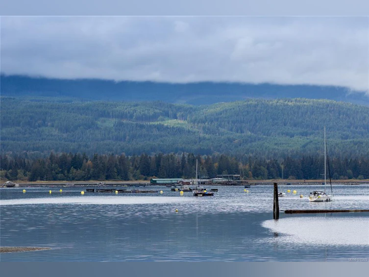 151 Burne Road, Bowser/Deep Bay, BC, V0R 1G0 - 18