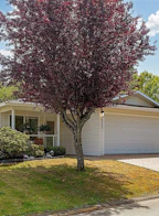 122 Camas Lane