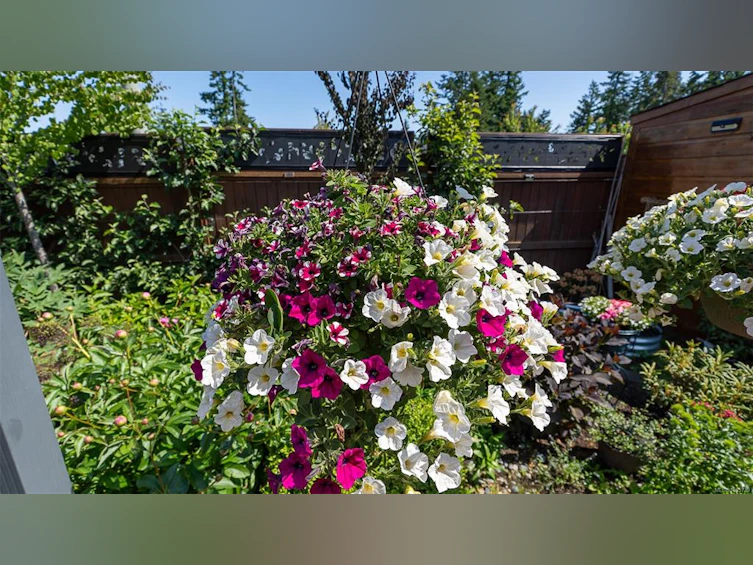 1000 Brookfield Crescent, French Creek, BC, V9P 0E3 - 51
