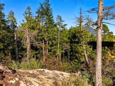 851 Lorne White Place - 3