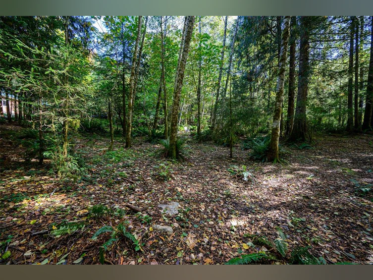584 Sabre Road, Kelsey Bay/Sayward, BC, V0P 1R0 - 21