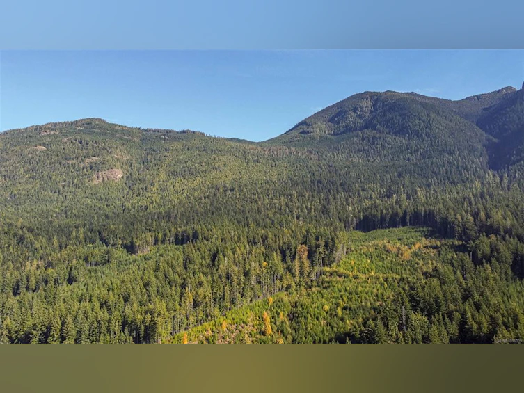 584 Sabre Road, Kelsey Bay/Sayward, BC, V0P 1R0 - 47