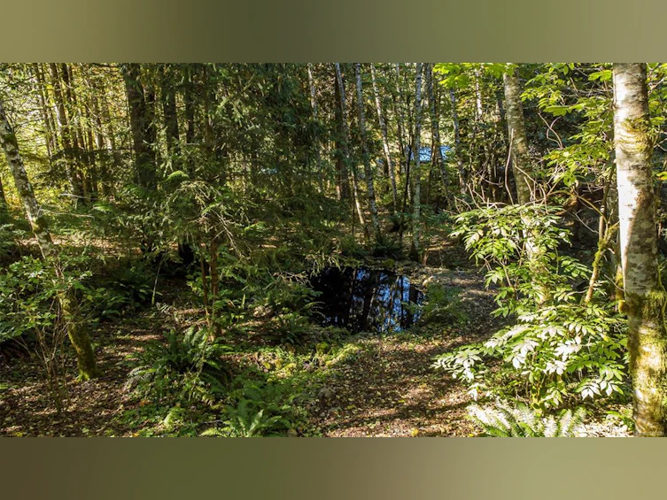 584 Sabre Road, Kelsey Bay/Sayward, BC, V0P 1R0 - 40