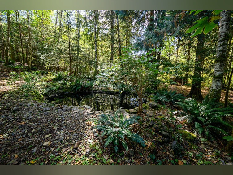 584 Sabre Road, Kelsey Bay/Sayward, BC, V0P 1R0 - 23