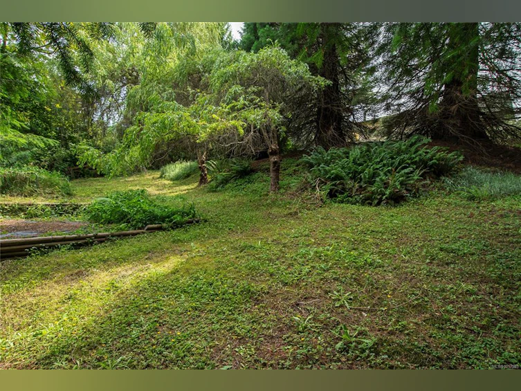 880 Pinecrest Road, Campbell River, BC, V9W 3P3 - 46