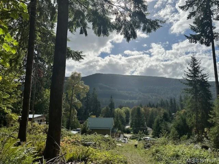 9725 Youbou Road, Youbou, BC, V0R 3E1 - 5
