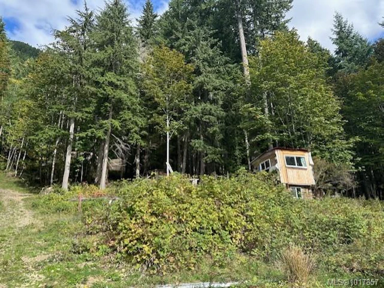 9725 Youbou Road, Youbou, BC, V0R 3E1 - 3