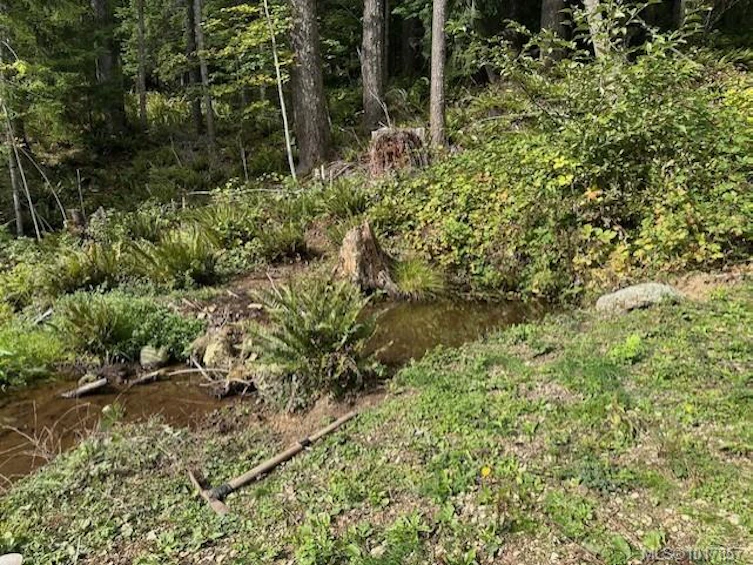 9725 Youbou Road, Youbou, BC, V0R 3E1 - 4