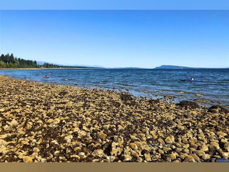 235 Spearfish Road, Qualicum Beach, BC, V9K 2A6 - 78
