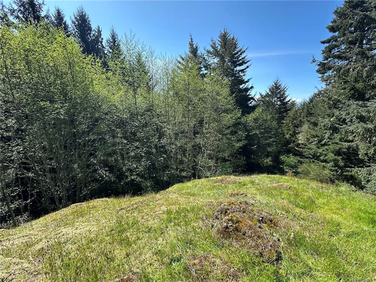 7340 Thornton Heights, Sooke, BC, V9Z 1L8 - 11