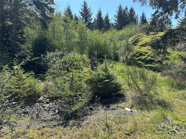 7340 Thornton Heights, Sooke, BC, V9Z 1L8 - 3
