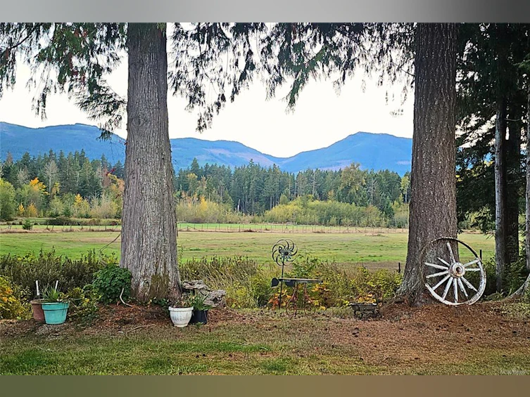 1445 Mclean Road, Hilliers, BC, V0R 1V0 - 19