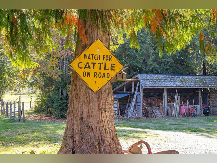 1445 Mclean Road, Hilliers, BC, V0R 1V0 - 12