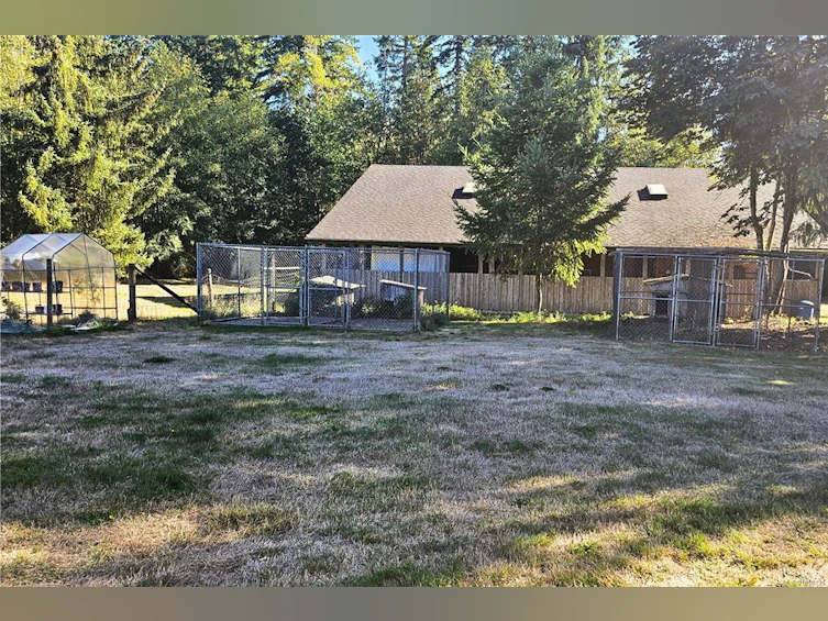 1445 Mclean Road, Hilliers, BC, V0R 1V0 - 44