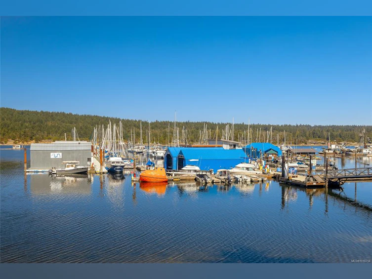 753 De Frane Court, Ladysmith, BC, V9G 1P1 - 62