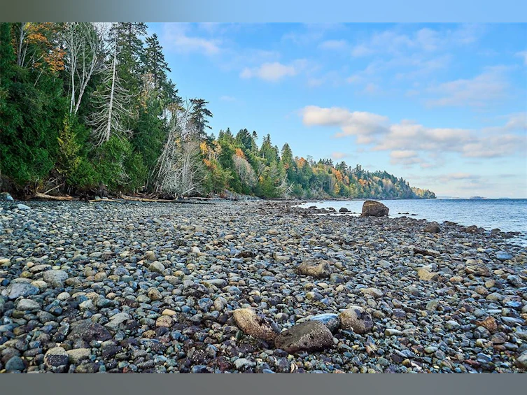 5422 Bayshore Drive, Nanaimo, BC, V9V 1G8 - 50