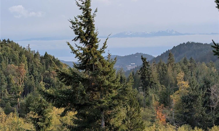 Lot 24 Eagle Drive