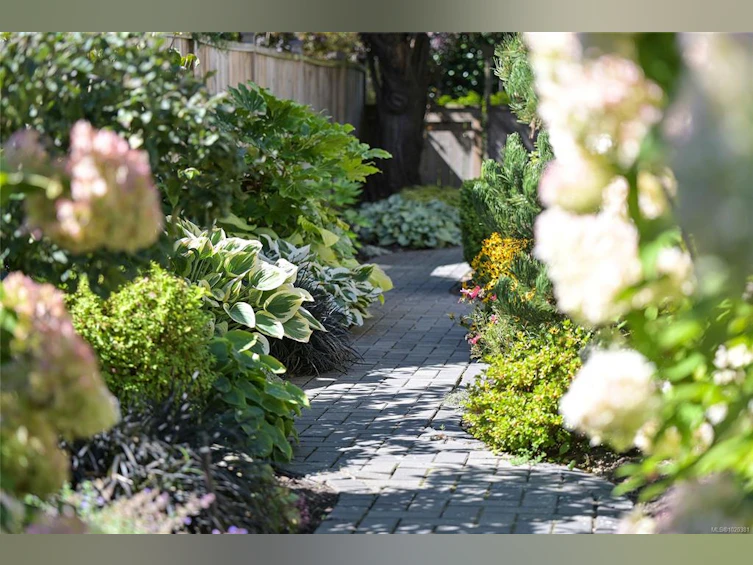 2443 Florence Street, Oak Bay, BC, V8R 5E7 - 43