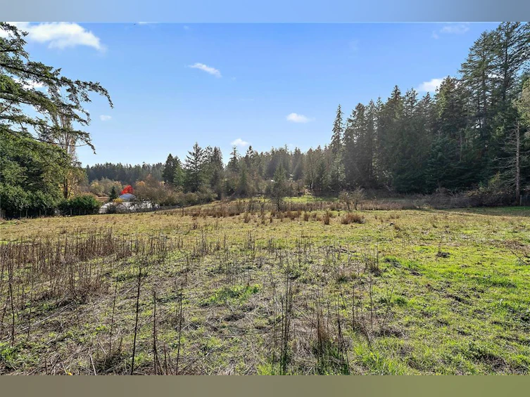 235 Hartland Avenue, Saanich, BC, V9E 1L7 - 46