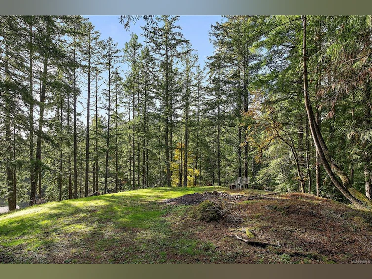235 Hartland Avenue, Saanich, BC, V9E 1L7 - 44