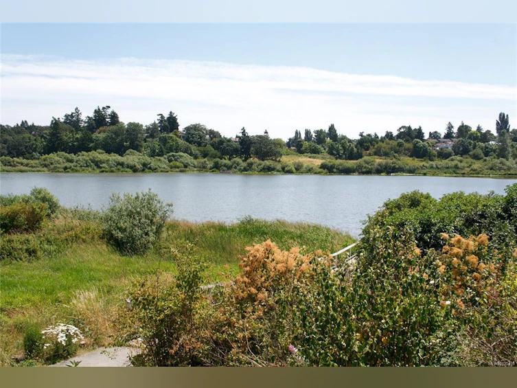 932 Tattersall Drive, Saanich, BC, V8X 2W9 - 44