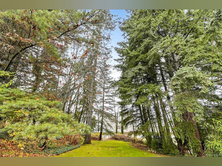 3968 3rd Avenue, Port Alberni, BC, V9Y 6G2 - 51