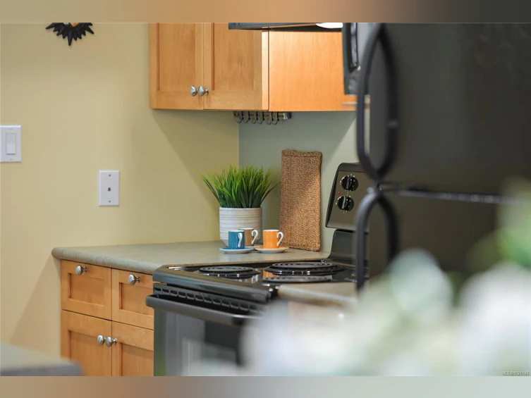 1-1515 Camosun Street, Victoria, BC, V8T 3E3 - 12