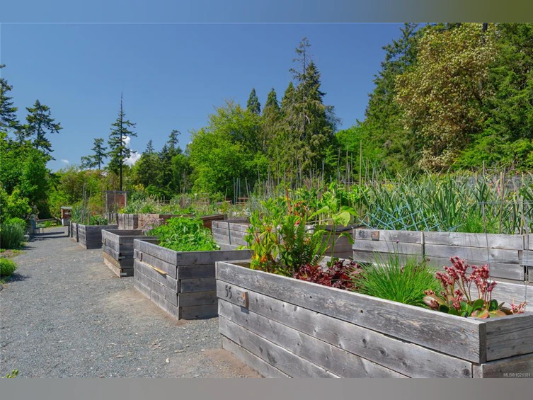 506-69 W Gorge Road, Saanich, BC, V9A 1L9 - 23