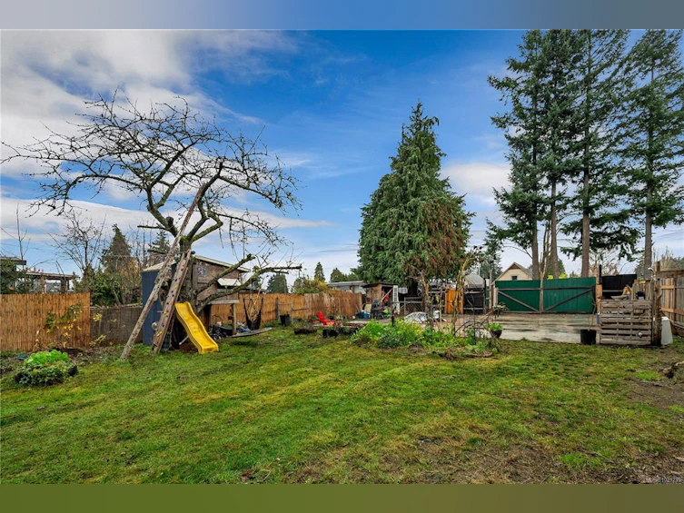 517 Dogwood Street, Campbell River, BC, V9W 2Y4 - 18