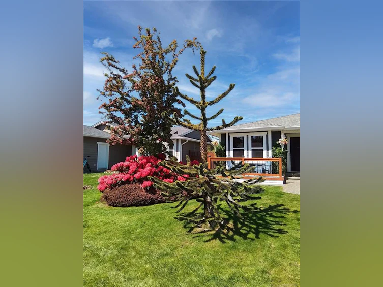 40 Carolina Drive, Campbell River, BC, V9H 1W2 - 63