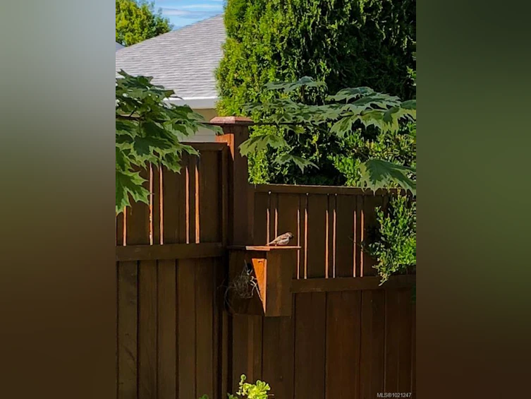 40 Carolina Drive, Campbell River, BC, V9H 1W2 - 51