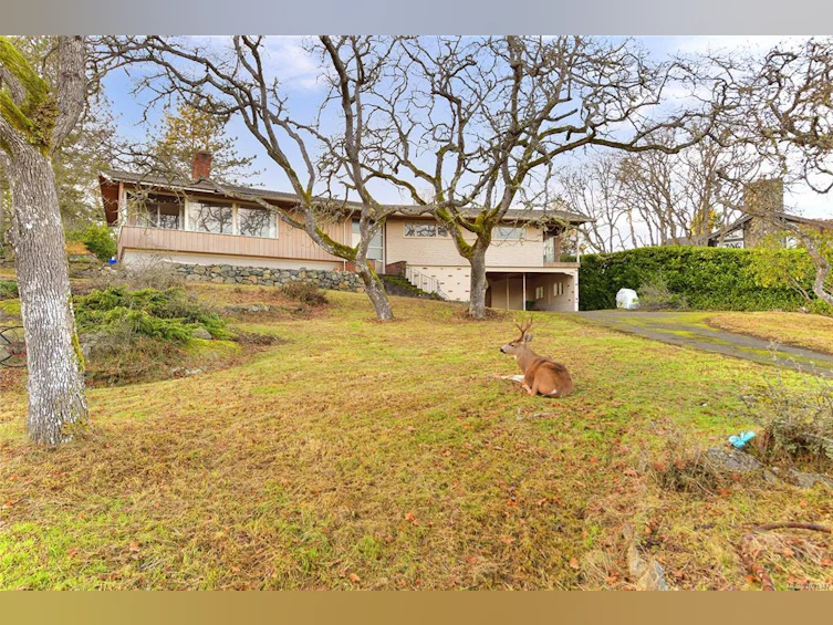 3240 Norfolk Road, Oak Bay, BC, V8R 6H4 - 53