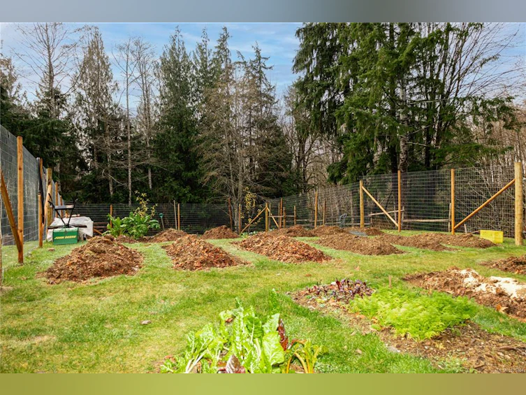 1877 Mountview Drive, Kelsey Bay/Sayward, BC, V0P 1R0 - 63