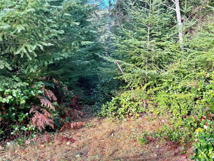 1309 Gorge Harbour Road, Cortes Island, BC, V0P 1K0 - 34