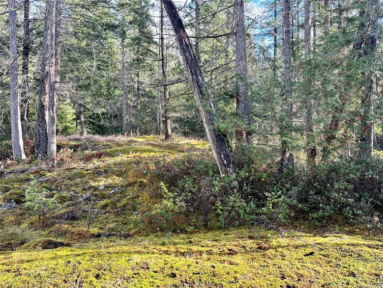 1309 Gorge Harbour Road, Cortes Island, BC, V0P 1K0 - 13