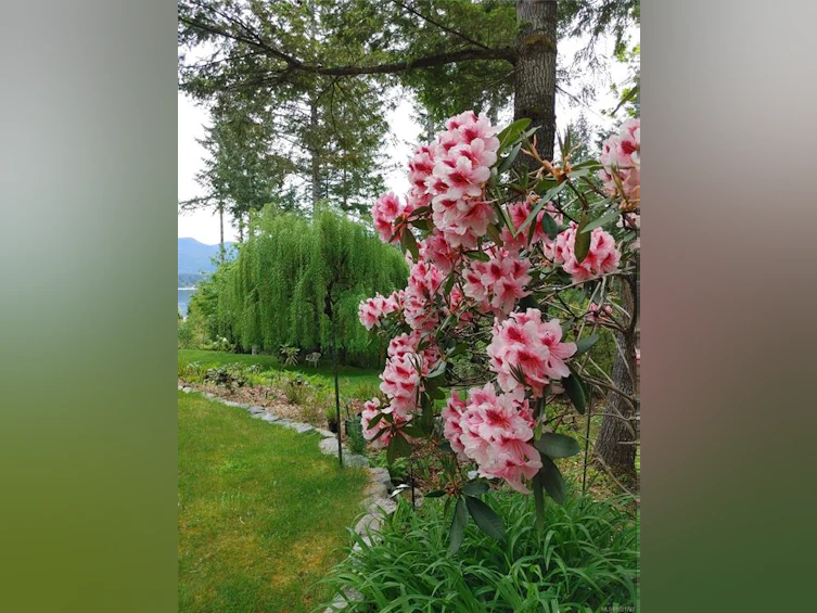 9644 Lakeshore Road, Port Alberni, BC, V9Y 8Z3 - 54