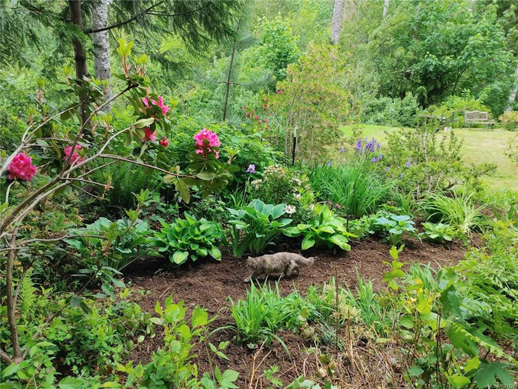 9644 Lakeshore Road, Port Alberni, BC, V9Y 8Z3 - 57