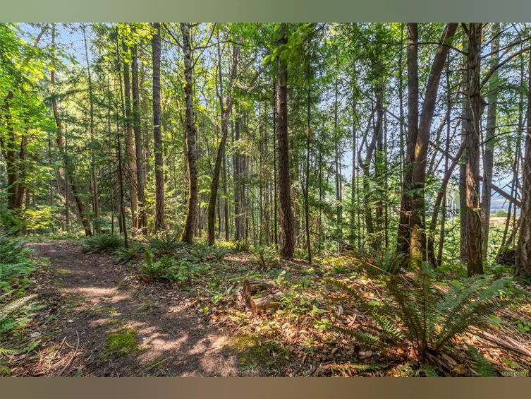 4961 Aho Road, Ladysmith, BC, V9G 1G8 - 49
