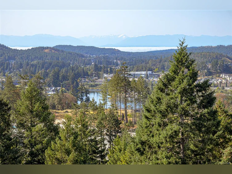 1426 Dolomite Ridge, Langford, BC, V9B 7G1 - 41