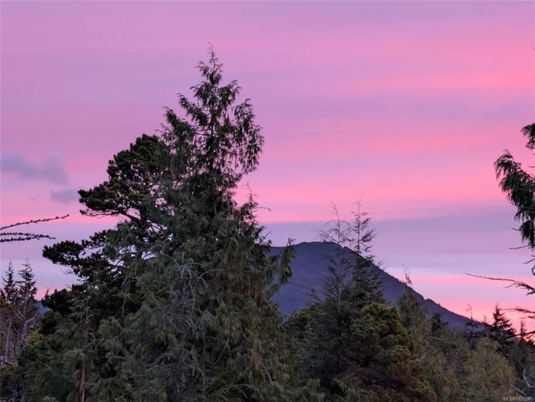 1708 Rainforest Lane, Ucluelet, BC, V0R 3A0 - 35